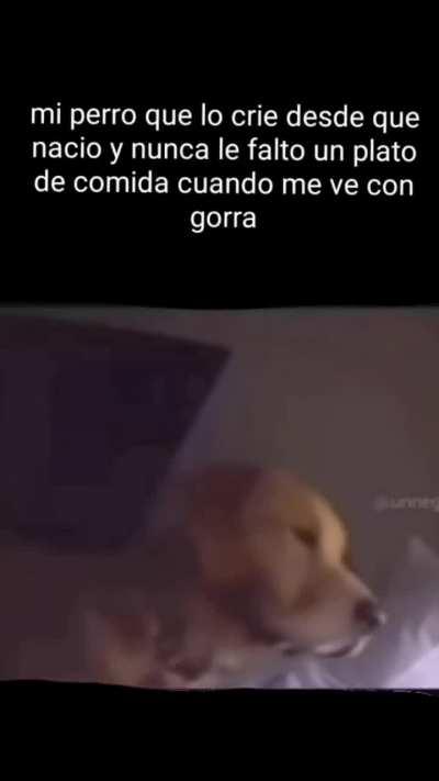 Ptm me confundió con el hippie de quackity 😑