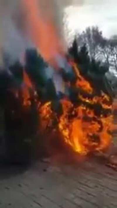 well now he knows better