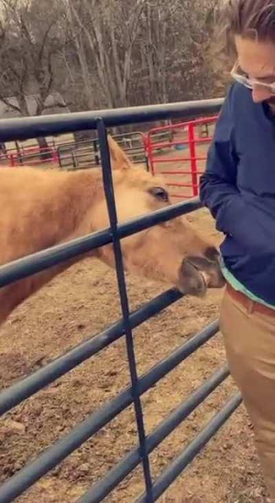 A little equine lip lovin’