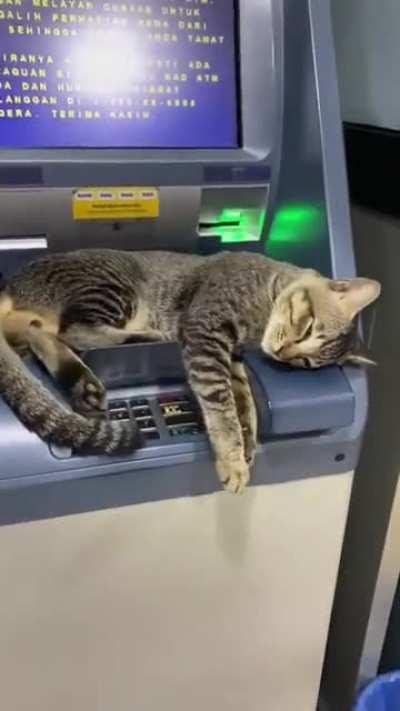 Sorry, unable to dispense cash now.