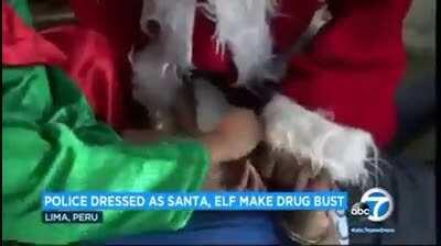Os cara foi de PAPAI NOEL E ELFO