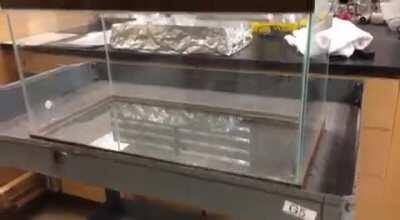 How is this even possible