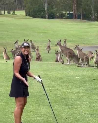 Golfing In Australia