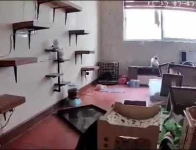 Glad they didn't overreact 😌