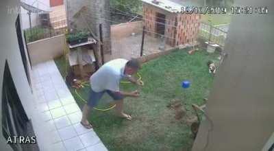 There was an attempt to get rid of ants