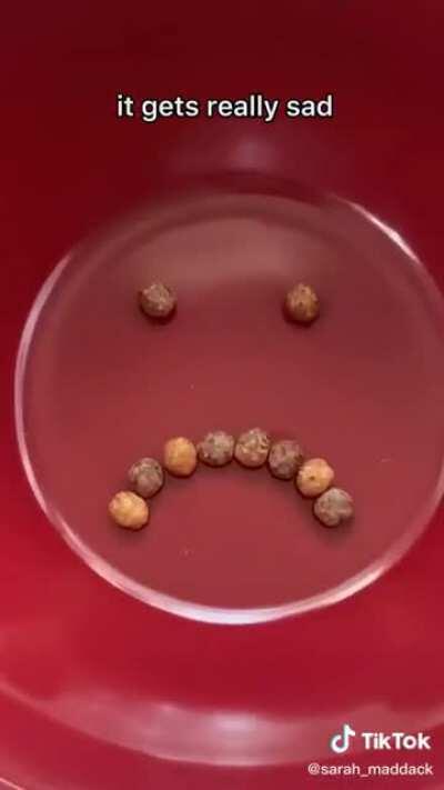 Well this was painful to sit through