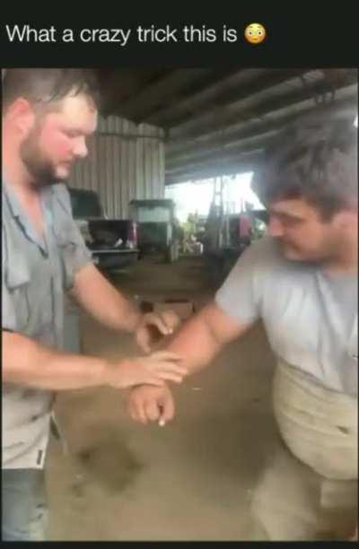 What a crazy trick this is