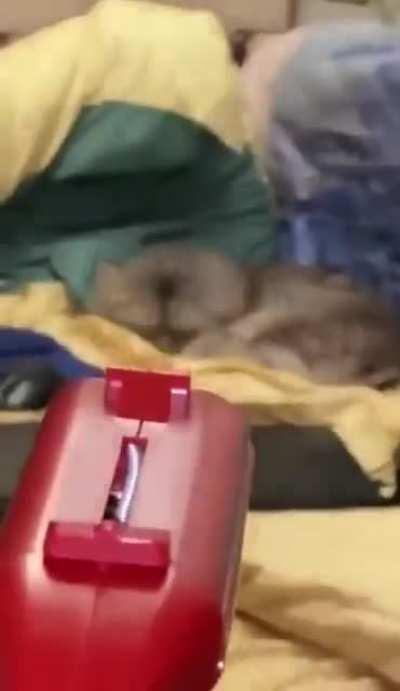 um novo boss se aproxima