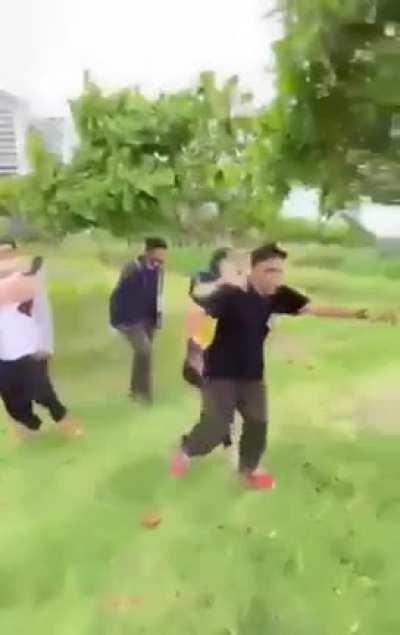 Those plants have very solid roots