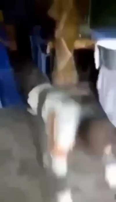 Take away your bouncing puppy from meals.