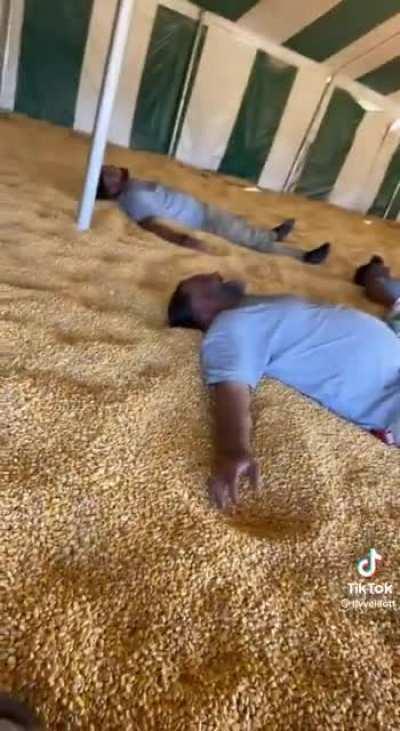 Corn is entertaining