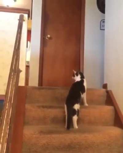 Was it something I said?