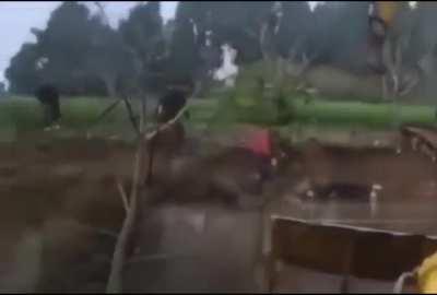 Dude probably woke up with a major headache.