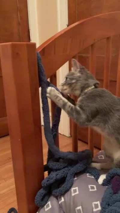 Top physicist hard at work studying the two-way pulley system