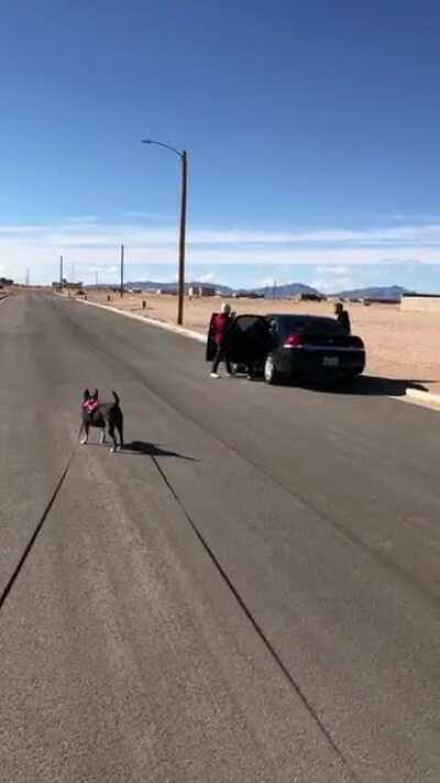 Lady flips out on teenagers smoking weed in an open field. Posted it to her instagram and limited the comments 😂