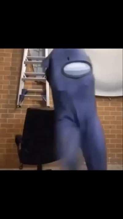 I Love This cat So much! 😍