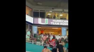 Fans catching a falling cat