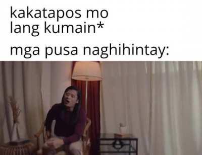 Sana d ma kapy right