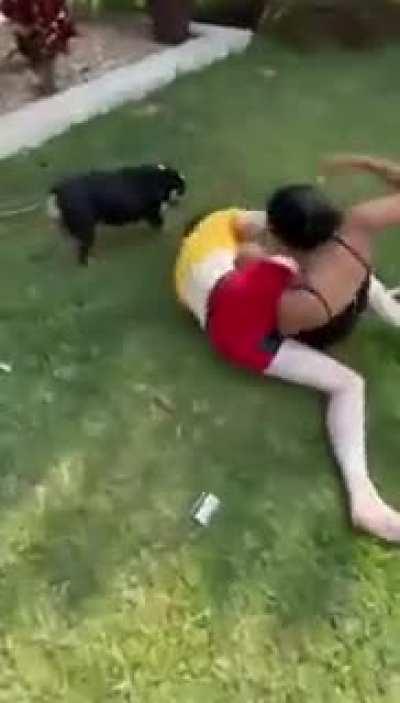 Fair Fight Could Have Gone Either Way