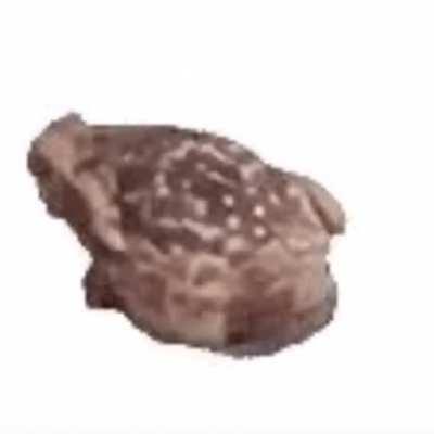 Spinning frog with music. Made by me