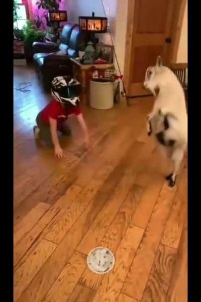 I heard this one's a banger