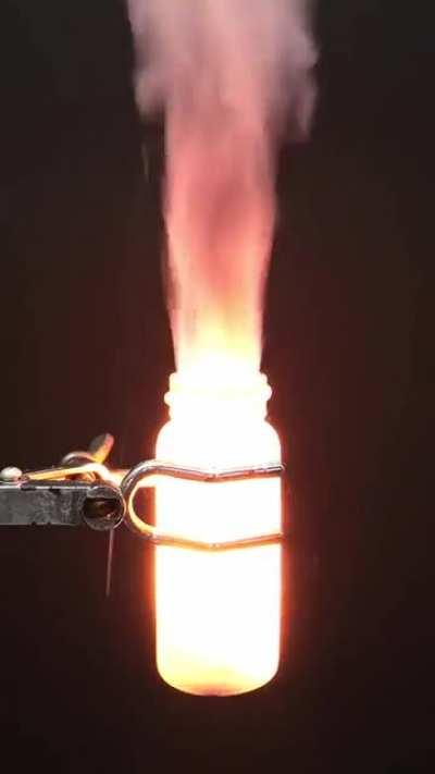 sicK sCIeNTist BUrns InoCCEnT GrEen beAr AlIve