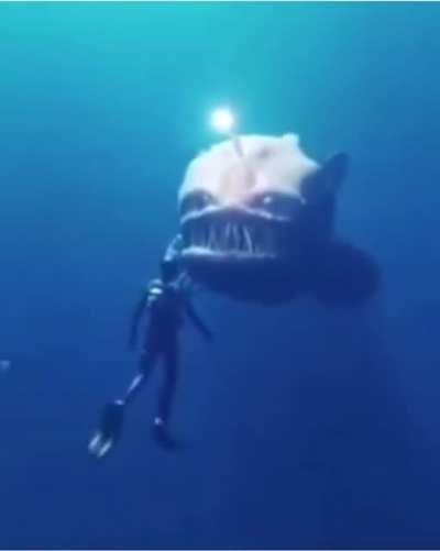 Thanks i hate the depths