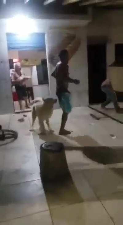 Sítio do Pica-Pau amarelo