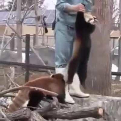 I didn't say u could put me down.