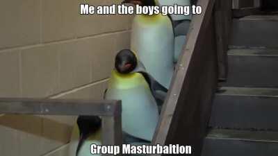 🍆🍆🍆😉😉😉