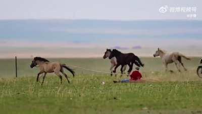 GoGoGo！！Prairie Skating！！！