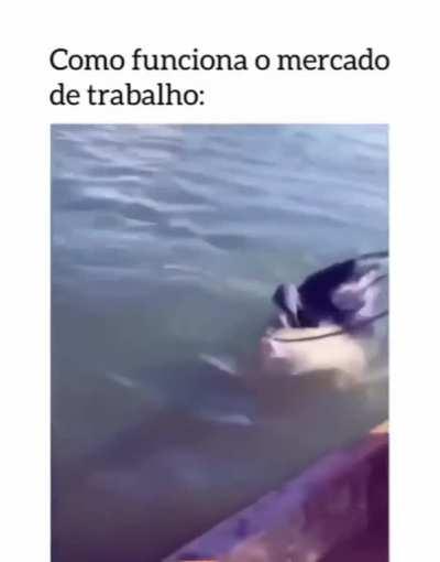 Realidade nua e crua