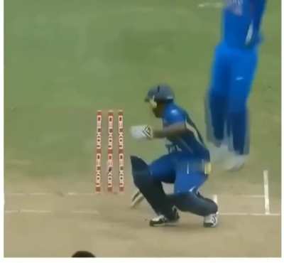 The art of wicket keeping celebration by MS Dhoni