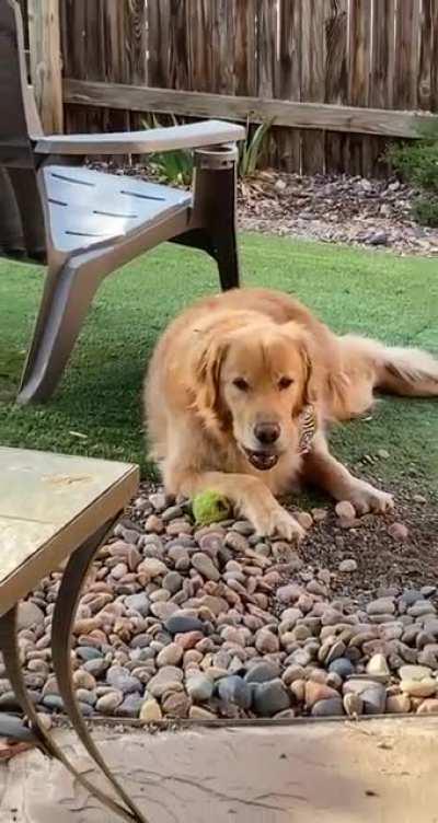 And the town whistle went off...