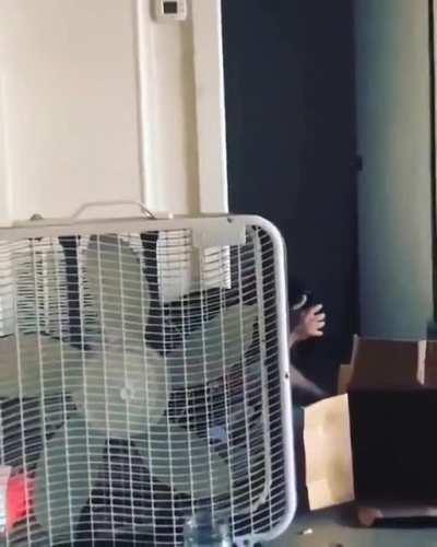 No fear, no fe...never mind