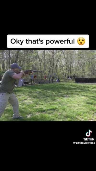 We got the sword and recently got the shield. Is this Big E's Bolter? 