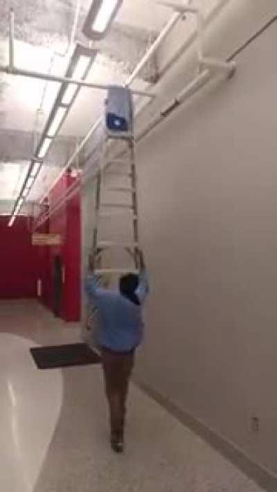 If only there was some sort of device that helped people reach high places!