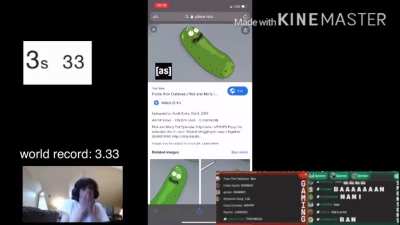 pickle rick speedrun