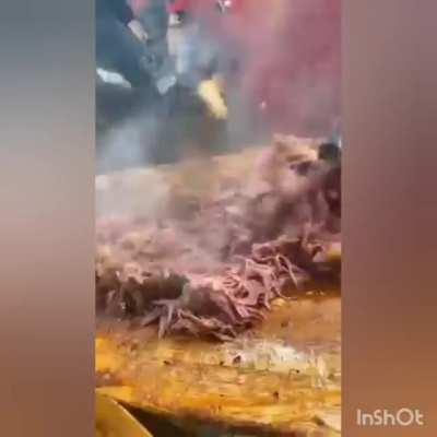 Some saltbae action please