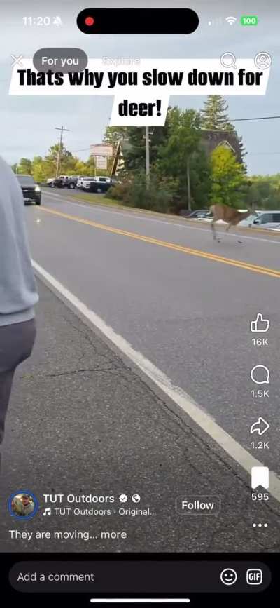 Wait for it…wait for it…NOW!