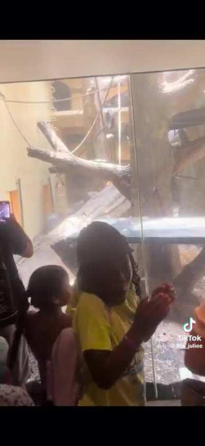 Gorilla Stone ð¦ð©¸members finds out who was snitching