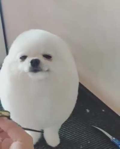 ᵖᵒᵈᵉ ᶜᵒⁱˢᵃ ᶠᵒᶠᵃ𓂺