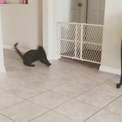 Just informed this was actually a Greeble encounter! 😳😂