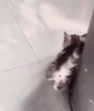 If you need a smile, try this.