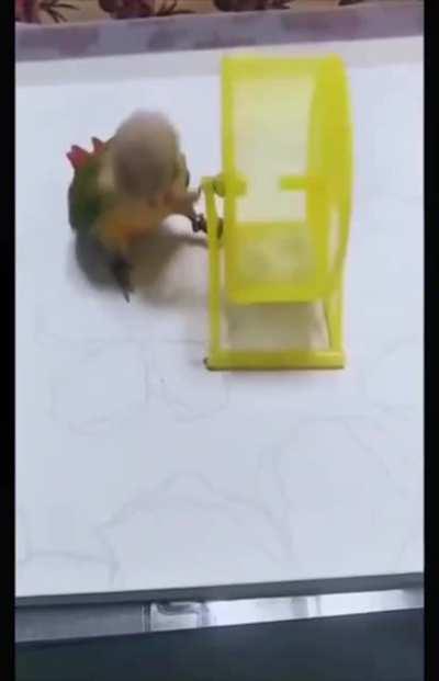 No Time For Caution ‼️