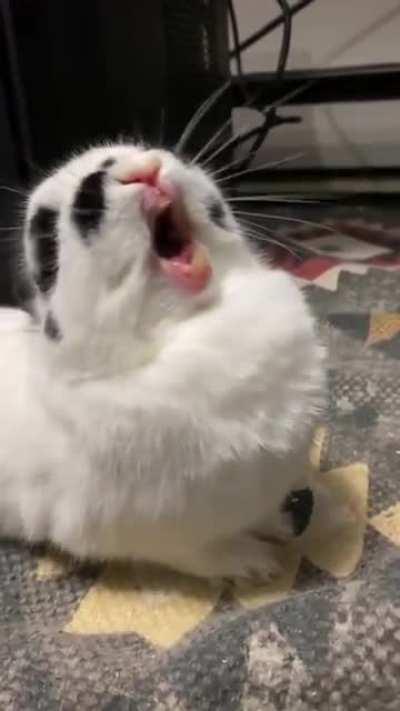 So glad I caught this 😂