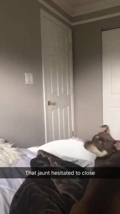 My cousins door closed by itself