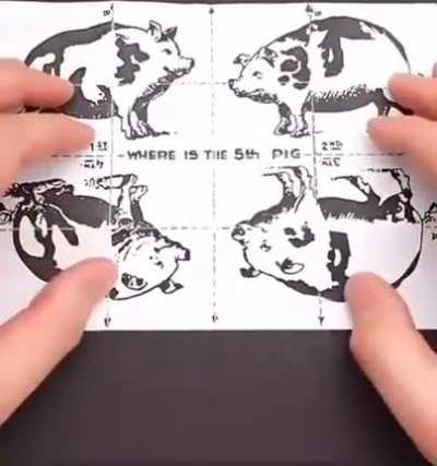 new puzzle released to help understand the reasoning behind the invasion