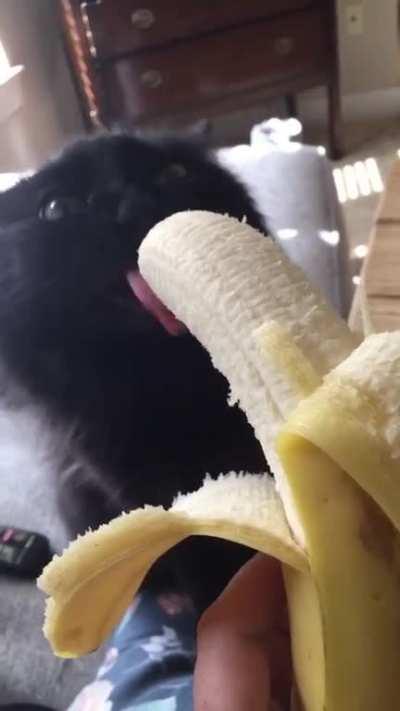 Just take the banana