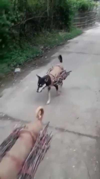 ଏତିକି ରେ ଭାତ ହବ ନା...??